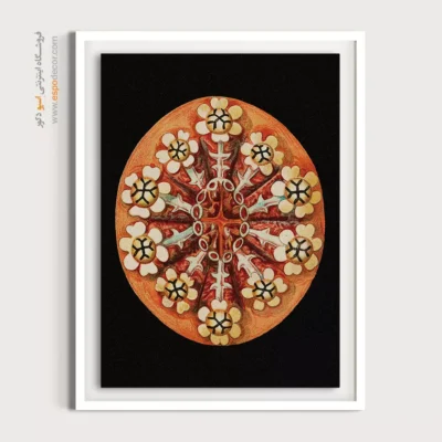 تابلو جانوران دریایی - اسپو دکور