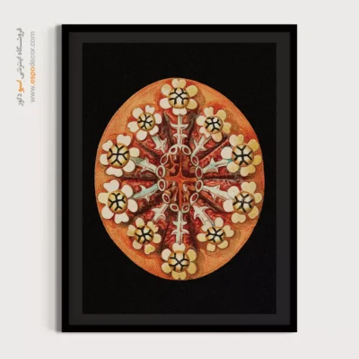 تابلو جانوران دریایی - اسپو دکور