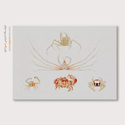 تابلو جانوران دریایی - اسپو دکور