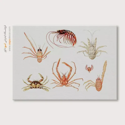 تابلو جانوران دریایی - اسپو دکور