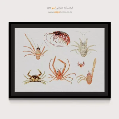 تابلو جانوران دریایی - اسپو دکور