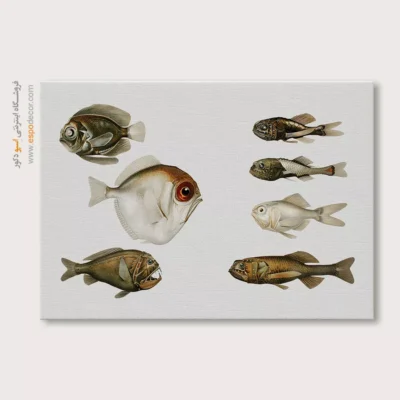 تابلو جانوران دریایی - اسپو دکور