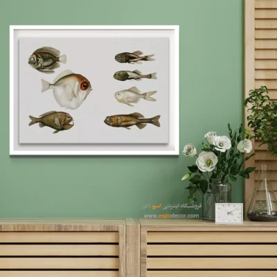 تابلو جانوران دریایی - اسپو دکور