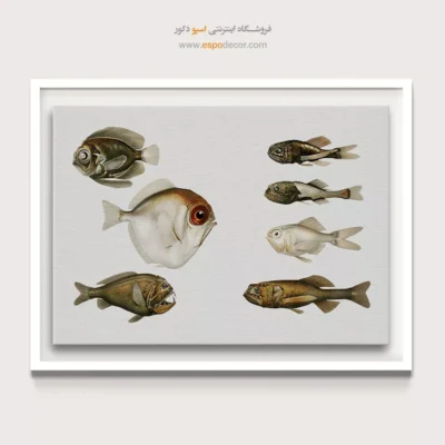 تابلو جانوران دریایی - اسپو دکور