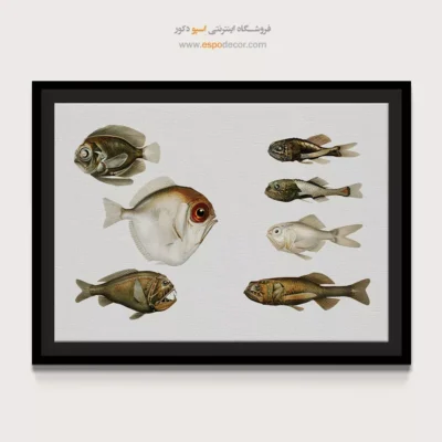 تابلو جانوران دریایی - اسپو دکور