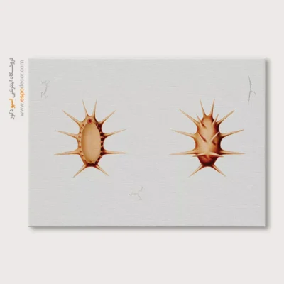 تابلو جانوران دریایی - اسپو دکور