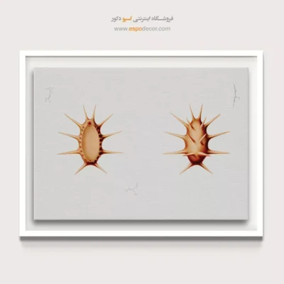 تابلو جانوران دریایی - اسپو دکور