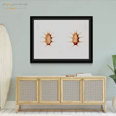 تابلو جانوران دریایی - اسپو دکور