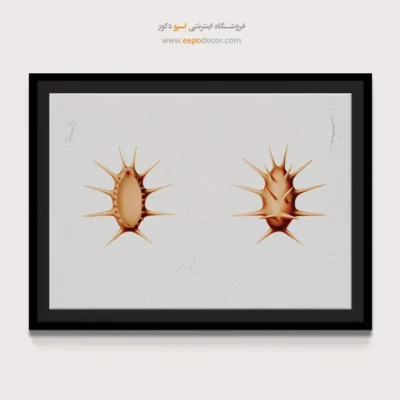 تابلو جانوران دریایی - اسپو دکور