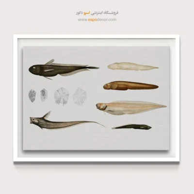 تابلو جانوران دریایی - اسپو دکور