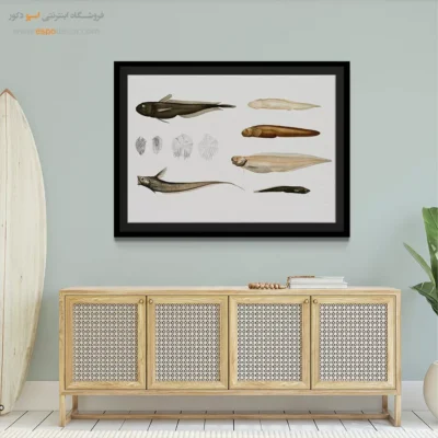 تابلو جانوران دریایی - اسپو دکور