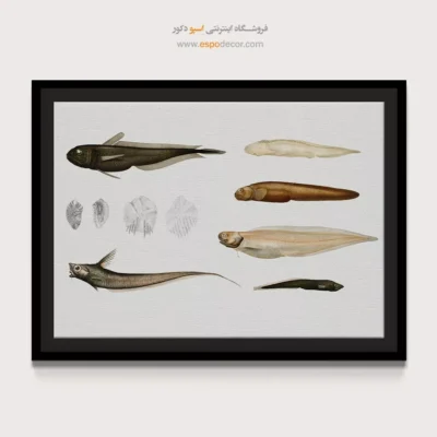 تابلو جانوران دریایی - اسپو دکور