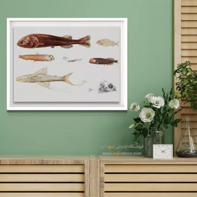 تابلو جانوران دریایی - اسپو دکور