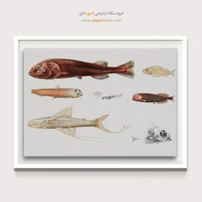 تابلو جانوران دریایی - اسپو دکور