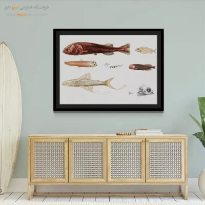 تابلو جانوران دریایی - اسپو دکور