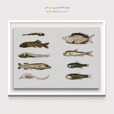 تابلو جانوران دریایی - اسپو دکور