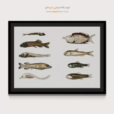 تابلو جانوران دریایی - اسپو دکور