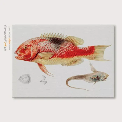 تابلو جانوران دریایی - اسپو دکور