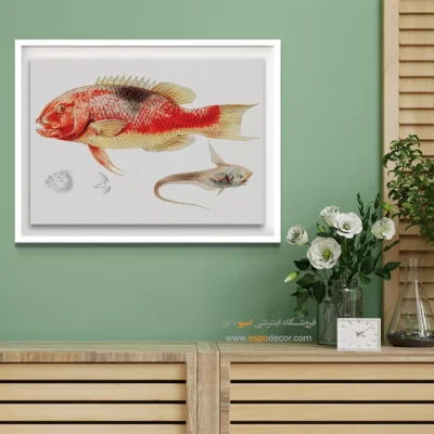 تابلو جانوران دریایی - اسپو دکور