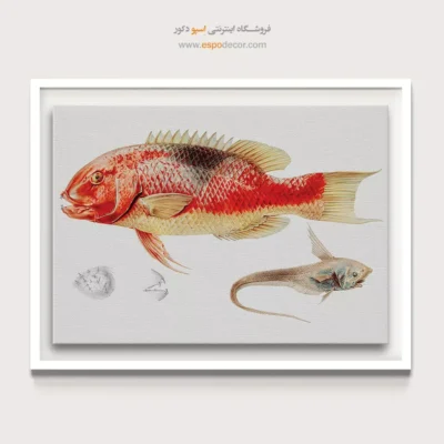 تابلو جانوران دریایی - اسپو دکور