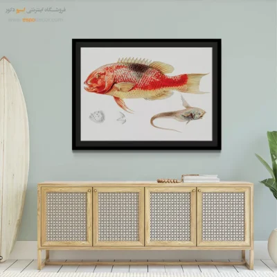 تابلو جانوران دریایی - اسپو دکور