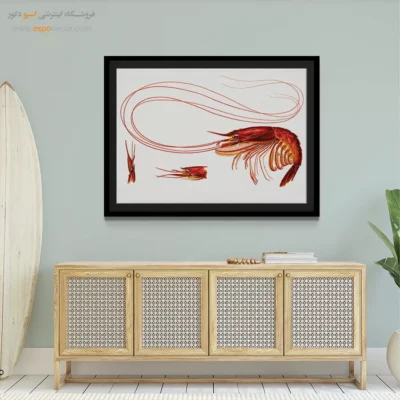 تابلو جانوران دریایی - اسپو دکور