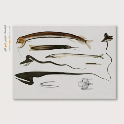 تابلو جانوران دریایی - اسپو دکور