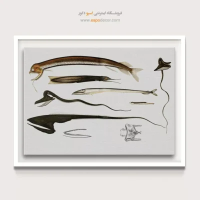 تابلو جانوران دریایی - اسپو دکور