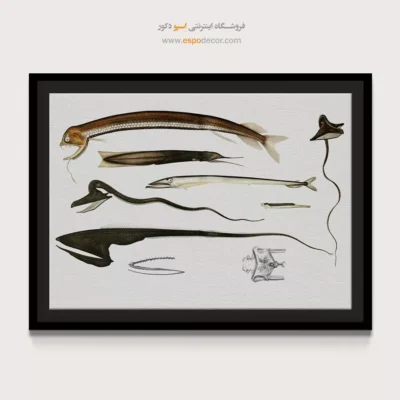 تابلو جانوران دریایی - اسپو دکور