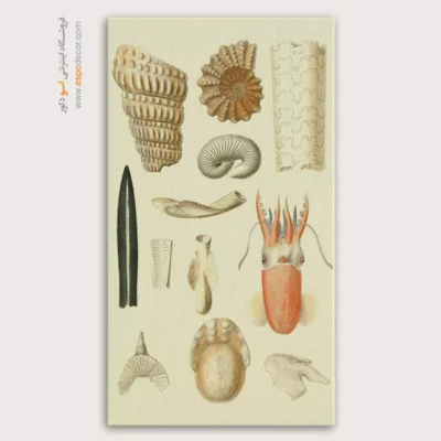 تابلو جانوران دریایی - اسپو دکور