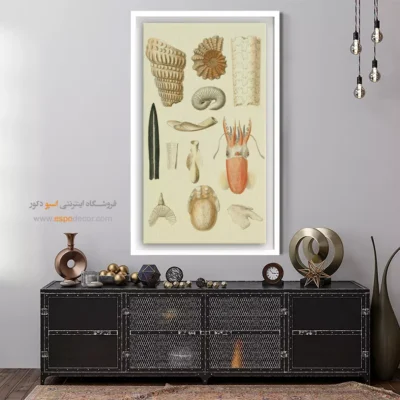 تابلو جانوران دریایی - اسپو دکور