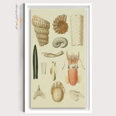 تابلو جانوران دریایی - اسپو دکور