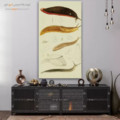 تابلو جانوران دریایی - اسپو دکور