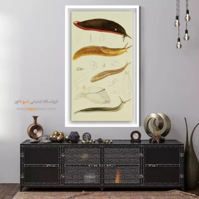 تابلو جانوران دریایی - اسپو دکور