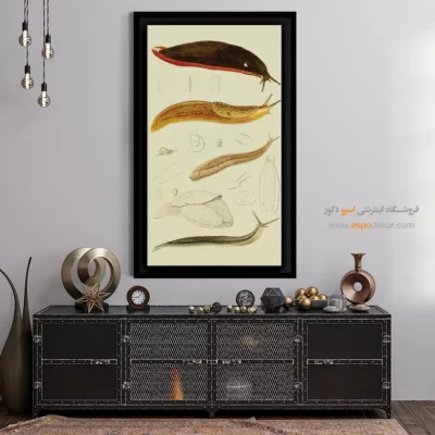 تابلو جانوران دریایی - اسپو دکور