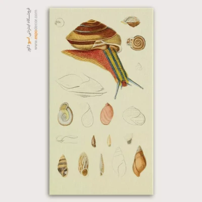 تابلو جانوران دریایی - اسپو دکور