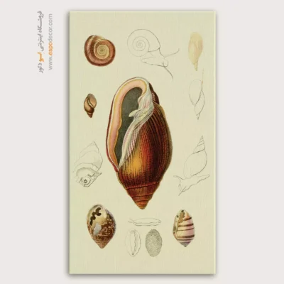 تابلو جانوران دریایی - اسپو دکور