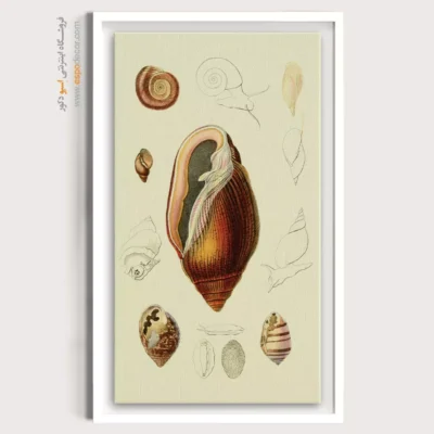 تابلو جانوران دریایی - اسپو دکور