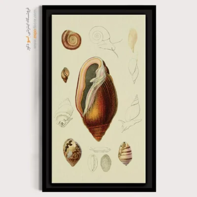 تابلو جانوران دریایی - اسپو دکور