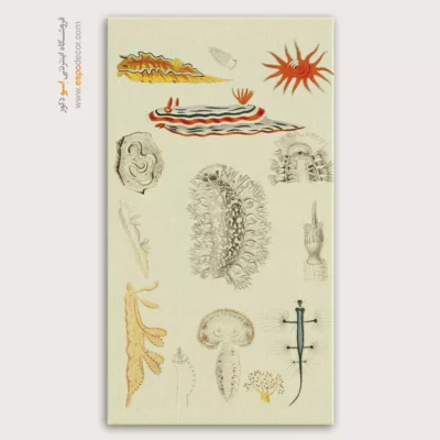 تابلو جانوران دریایی - اسپو دکور