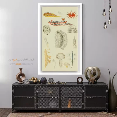 تابلو جانوران دریایی - اسپو دکور