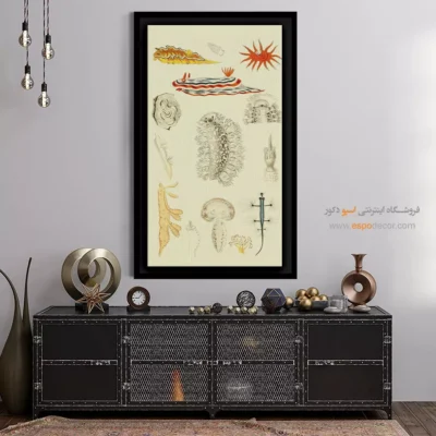 تابلو جانوران دریایی - اسپو دکور