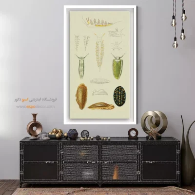 تابلو جانوران دریایی - اسپو دکور