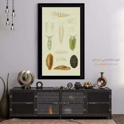 تابلو جانوران دریایی - اسپو دکور