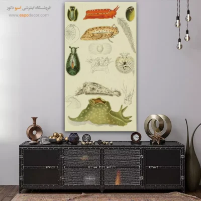 تابلو جانوران دریایی - اسپو دکور