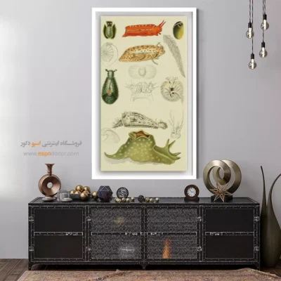 تابلو جانوران دریایی - اسپو دکور