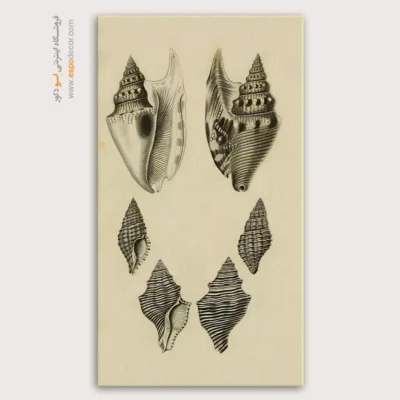 تابلو جانوران دریایی - اسپو دکور