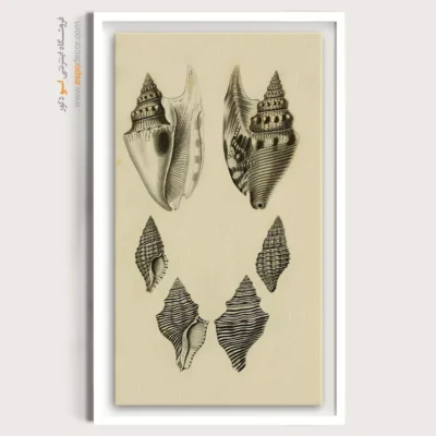 تابلو جانوران دریایی - اسپو دکور