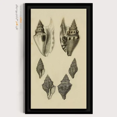 تابلو جانوران دریایی - اسپو دکور