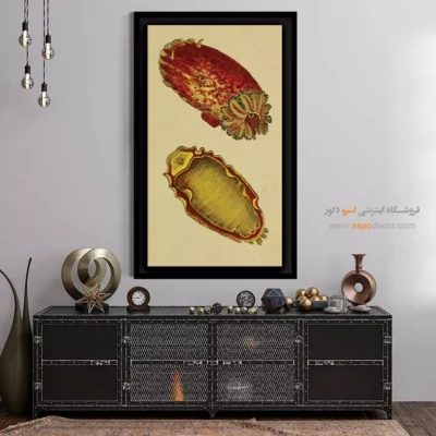 تابلو جانوران دریایی - اسپو دکور